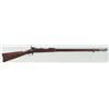 Image 2 : U.S. Springfield 1884 Trapdoor Rifle
