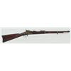 Image 2 : U.S. Springfield 1884 Trapdoor Cutdown Carbine