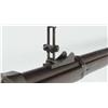 Image 10 : Springfield Model 1884 Trap Door Rifle