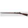 Image 11 : Springfield Model 1884 Trap Door Rifle