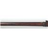 Image 14 : Springfield Model 1884 Trap Door Rifle