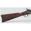 Image 2 : Springfield Model 1884 Trap Door Rifle