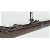 Image 10 : U.S. Springfield 1873 Trapdoor Rifle