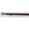 Image 19 : U.S. Springfield 1873 Trapdoor Rifle