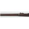 Image 17 : US Springfield 1878 Trapdoor Rifle
