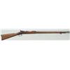 Image 10 : US Springfield Model 1884 Trapdoor
