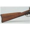 Image 11 : US Springfield Model 1884 Trapdoor