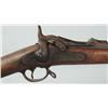 Image 13 : US Springfield Model 1884 Trapdoor