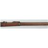 Image 14 : US Springfield Model 1884 Trapdoor