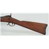 Image 2 : US Springfield Model 1884 Trapdoor