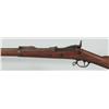 Image 3 : US Springfield Model 1884 Trapdoor