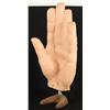 Image 1 : Large Antique Advertising Hand