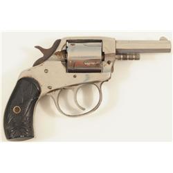 American Bulldog Pocket Pistol