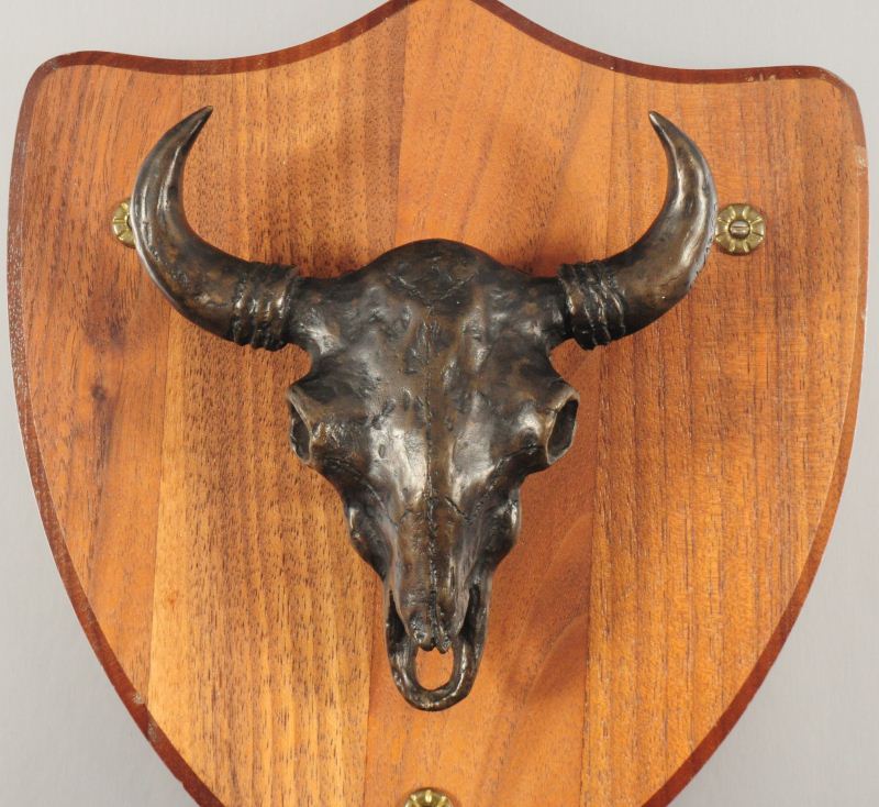 Buffalo Skull Mount Bronze Castleberry