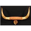 Image 1 : Longhorn Mount with Hooves