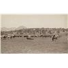 Image 1 : Boudoir photograph of a cattle roundup, albumen image