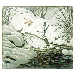 Kleiber, Hans (1887-1967), Mergansers, hand-colored aquatint (colored etching), 7 3/8” x 9 3/8”.