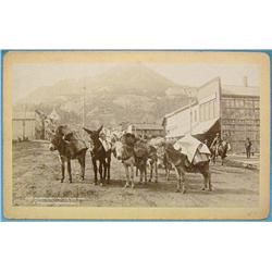 Jackson, Wm. Henry (1843-1942) photograph, Burros Packed for the Mountains,