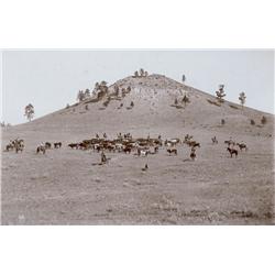 Huffman, L. A.Working a Little Bunch in the Hills ORIGINAL contact photo print, 1895 ca. 6 ¼”x8 ¾"