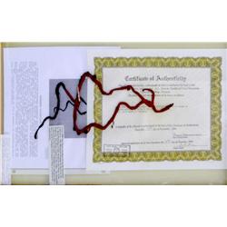 Sun Dance necklace, ca. 1880’s, 18” long, made of hair, was a gift from Wades In the Water,