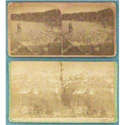 2 Stereo cards, Calfee, H. P. and Nelson Catlin, label on reverse reads: