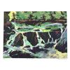 Image 1 : Duback, Charles - Original signed and numbered Lithograph