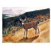 Image 1 : Friedman, Allen - Original Lithograph hand signed and numbered