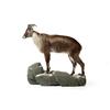 Image 1 : AOUDAD FULL BODY TAXIDERMY MOUNT.