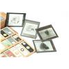Image 2 : MEDICAL SLIDES.