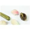 Image 3 : NINE STONE VEGETABLES.