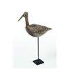 Image 1 : DOWITCHER SHOREBIRD.