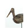 Image 2 : DOWITCHER SHOREBIRD.