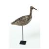 Image 5 : DOWITCHER SHOREBIRD.