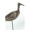 Image 6 : DOWITCHER SHOREBIRD.