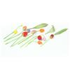 Image 1 : FORTY GLASS TULIPS.