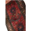 Image 2 : ORIENTAL RUNNER.