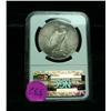 Image 3 : NGC 1927-p Peace Dollar graded Select Uncirculated ms63  PQ