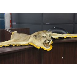 TAXIDERMY BC MOUNTAIN COUGAR