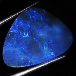 7.8ct Australian Black Opal Doublet Full Fire (GEM-36520)