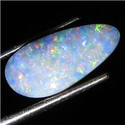 3.33ct Australian Black Opal Doublet Full Fire (GEM-36148)