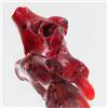 Image 1 : 26ct Red Coral Freeform (MIN-000743)