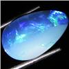 3.73ct Australian Black Opal Doublet Full Fire (GEM-35806)