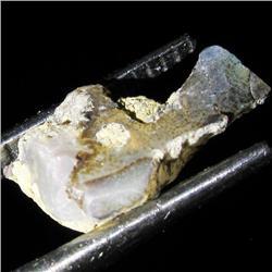 2ct Sudan Opal Rough  (GEM-29873H)