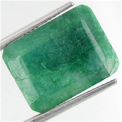 16.78ct South American Emerald Octagon Cut (GEM-36704)