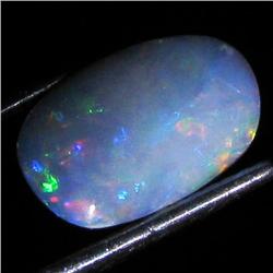 3.39ct Australian Black Opal Doublet Full Fire (GEM-35907)