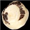 Image 2 : Chinese Handcarved Tagua Ivory Nut (CLB-740)