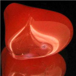 28.75ct Carnelian Freeform Cabochon (GEM-34063)