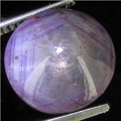 8.80ct Natural Star Ruby Well Patterned  (GEM-32114)