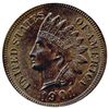 Image 1 : 1901 Indian Cent Uncirculated MS66+ RB (COI-7515)
