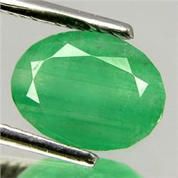 A 5 ct. Emerald Gem $ 2000 GG GIA